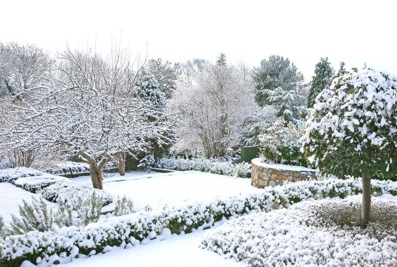 Хранение снега в саду, на даче | Сад